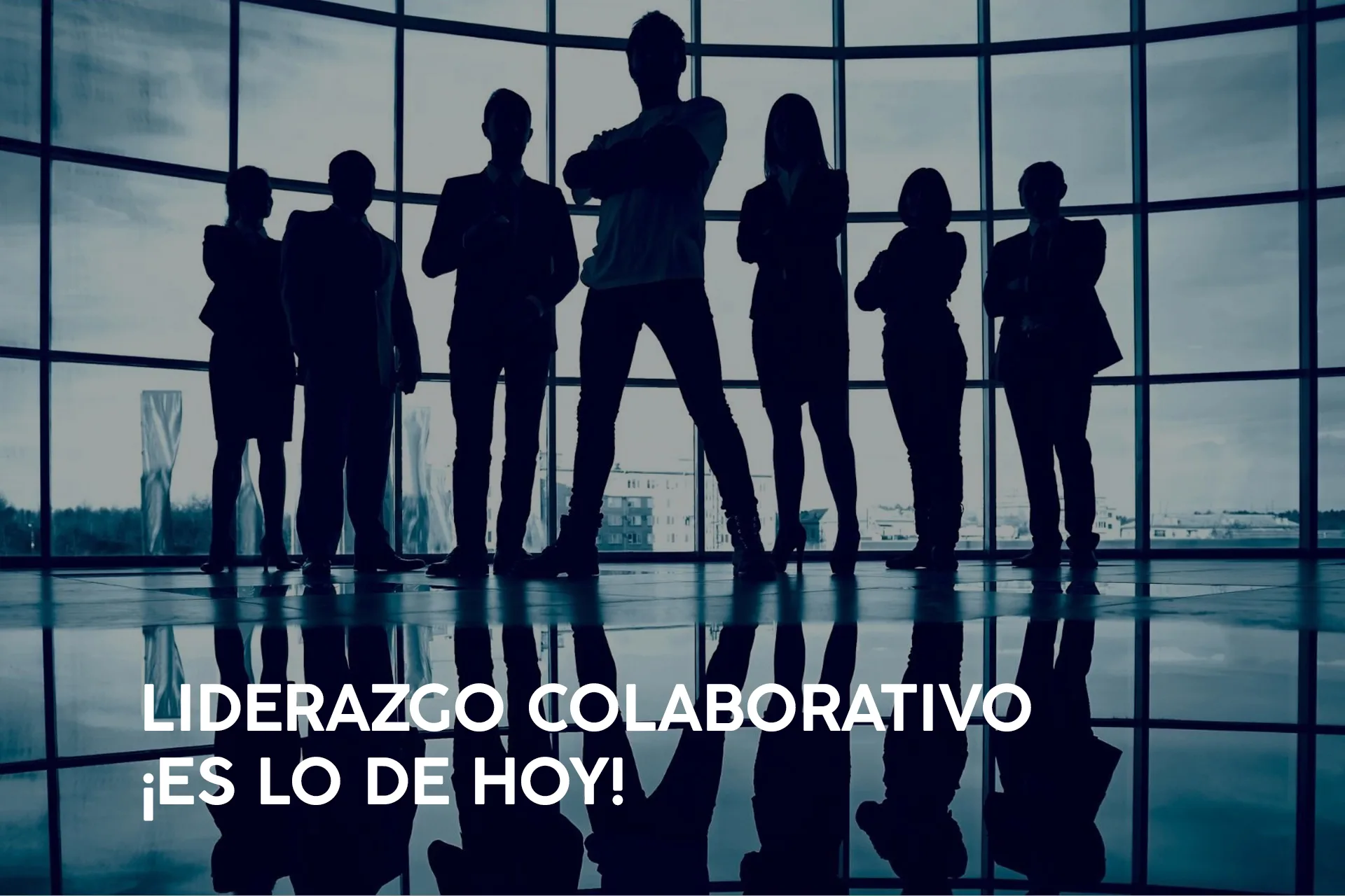 LIDERAZGO COLABORATIVO